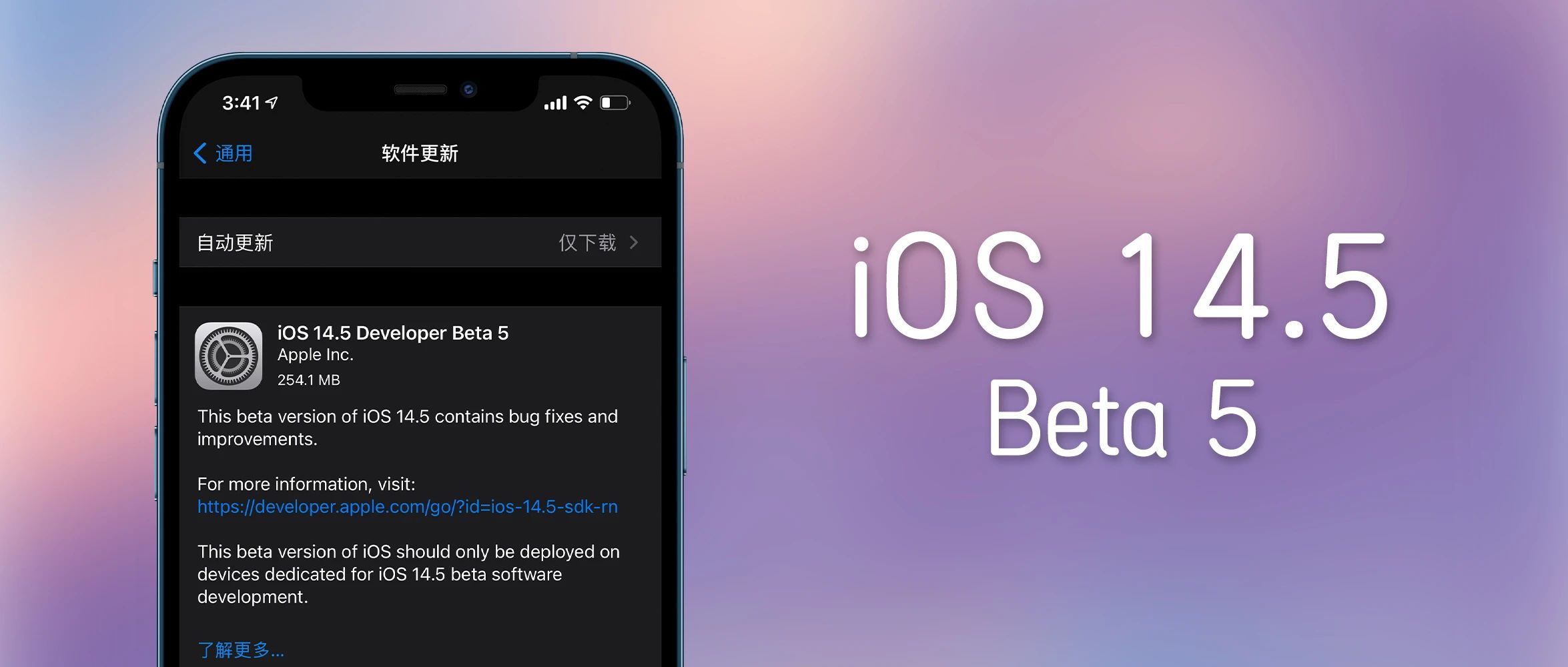 iOS 14.5 Beta 5 推送，曝光 A14X 芯片，iPad Pro 即将发布